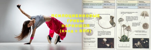 альфа пвп Армянск