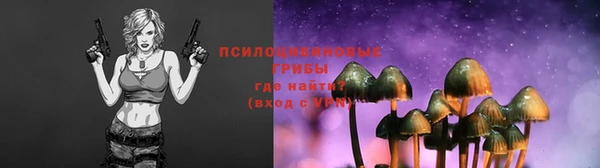 каннабис Арсеньев