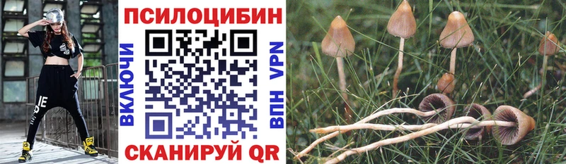 Галлюциногенные грибы мухоморы Малмыж