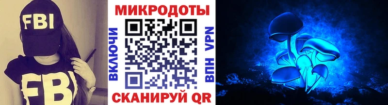 Псилоцибиновые грибы Psilocybine cubensis  Малмыж 